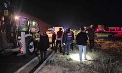 Korkunç olay: Milyonluk yarış atları karayolunda telef oldu