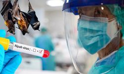 Ölüm oranı Kovid'i beşe katladı: Nipah virüsü alarmı