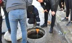 Vatandaşın "Bebek c*sedi gördüm" ihbarı harekete geçirdi!