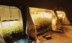 23 ilde yasaklı madde operasyonu: 521 gözaltı