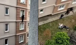 Sevgililerin panik anları: Aile eve gelince 4. kattan atladılar