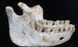 Bilim dünyası şokta! 773 bin yıllık insan fosili büyük sırrı ifşa etti