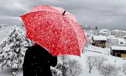 Valilik uyardı: Kar geliyor