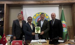 Alanya tarımında büyük çöküş: Üretici can çekişiyor