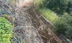 Dimçayı’nda üretici susuz kaldı