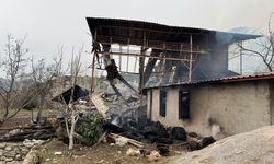 Yangında hayvanları telef oldu