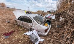 Kontrolden çıkan otomobil şarampole devrildi