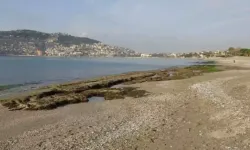 Alanya İskelesi’nde deniz kirliliği iddiası: Tekne bakımı tartışma yarattı