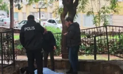 Antalya'da parkta kahreden görüntü: Hareketsiz yatan şahsın kimliği öğrenildi!
