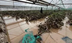 Antalya’da afet seferberliği: Milletvekilleri sahaya indi