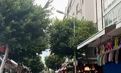 Müftüler Caddesi sakinlerinden Belediyeye budama çağrısı