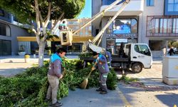 Barbaros Caddesi bahara hazırlanıyor
