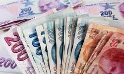 Gümrük vergisi düzenlemesi ağır sekteye uğradı: Başdanışmandan sert eleştiri!