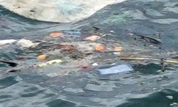 Alanya’nın vitrinine bu görüntüler yakışmadı