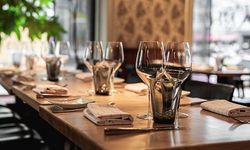 Alanya'da Arizona Kertenkeleleri kış uykusuna yatmıyormuş!