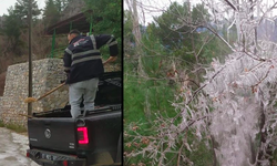 Alanya'da buz şoku! Kırsal kesim buz pistine döndü