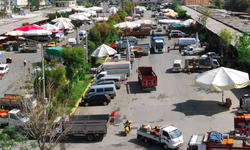 Alanya'da etiketler alev aldı: Halde fiyatlar ateş pahası