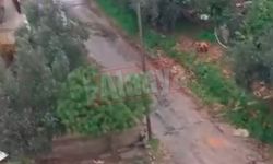 Alanya'da vatandaş bu görüntülerle isyan etti