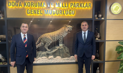 Alanya Kuşyuvası için turizm hamlesi