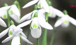 Antalya'da bunu yapana 699 bin 245 TL ceza