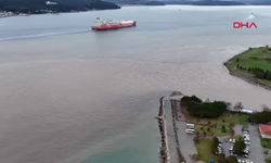 Denizin rengi kahverengiye döndü