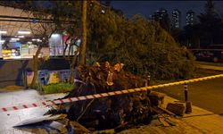 Fırtına fena vurdu: 15 katlı binanın dış cephesi uçtu; ağaçlar devrildi