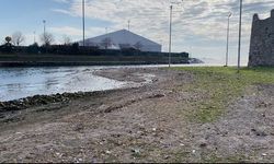 Sahilde cansız bedeni bulundu