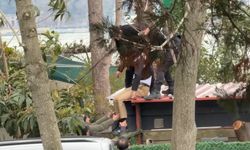 Başından vurulmuş halde buldu; sinir krizi geçiren yakını çatıya çıktı