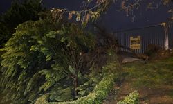 Şiddetli rüzgar yüzünden devrilen ağacın altında kaldı