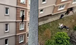Evlerinde basılan gençler panikleyince 4. kattan aşağı atladı!