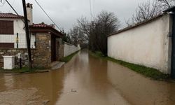 Kayıp olarak aranıyordu; ağaca asılı halde bulundu