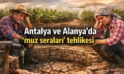 Antalya ve Alanya'da 'muz seraları' tehlikesi