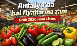 Antalya'da hal fiyatlarına zam: Ocak 2026 fiyat listesi