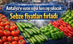 Antalya'yı vuran soğuk hava cep yakacak