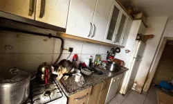 Gören herkes aynı şeyi düşündü: Ev değil hayvanat bahçesi!