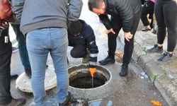 'Kanalizasyonda bebek ölüsü' iddiası polisi harekete geçirdi