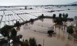 Antalya seralar sular altında kaldı: "Kimse uyarıları dikkate almadı!"