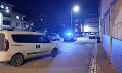 Tartıştığı kayınbiraderini vurdu