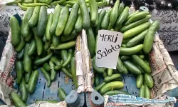 Alanya'da pazara çıkan şaştı kaldı: Don fiyatları uçurdu