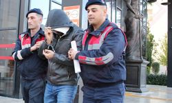 Tapu'da şok iddia: Müdür yardımcısı tutuklandı