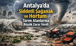 Antalya'da şiddetli sağanak ve hortum tarım alanlarına büyük zarar verdi