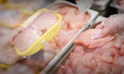 Tavuk fiyatlarında son dakika: İhracat tamamen durduruldu