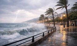 Fırtına fena vurdu; çok sayıda kişi can verdi