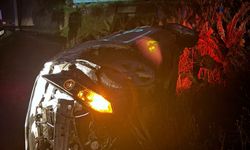 Direksiyonda uyuya kaldı