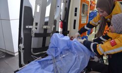 Alacak verecek tartışmasında kardeşini tabancayla vurdu