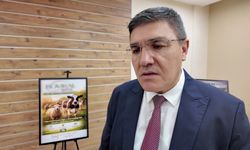 Şap hastalığında iyileşme sürecini hızlandıran bitkisel sprey üretildi