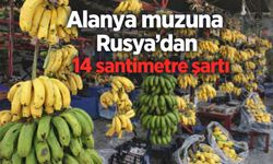 Alanya muzuna Rusya’dan 14 santimetre şartı