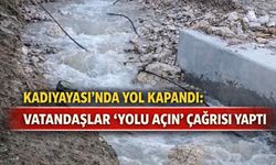 Kadıyayası’nda yol kapandı: vatandaşlar ‘Yolu açın’ çağrısı yaptı