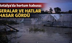 Antalya'da hortum kabusu: Seralar ve hatlar hasar gördü