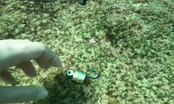 Antalya kıyılarında gizemli bulgular: Büyü izlerine rastlandı